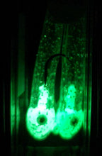 Load image into Gallery viewer, Giro Mega Glow Dart Green & White Head