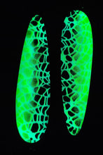 Load image into Gallery viewer, Warrens Super Glow "Copper" Bleas Bluey Mule Kicker