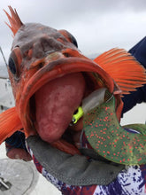 Load image into Gallery viewer, Giro Lures Curly Wilson "MEGA GLOW"