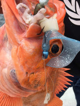 Load image into Gallery viewer, Giro Lures Curly Wilson "MEGA GLOW"