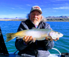 Load image into Gallery viewer, The Web Collection