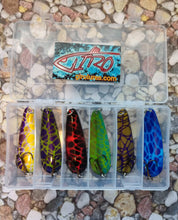 Load image into Gallery viewer, The Web Collection