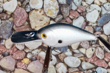 Load image into Gallery viewer, Custom Painted Fishing Lures
