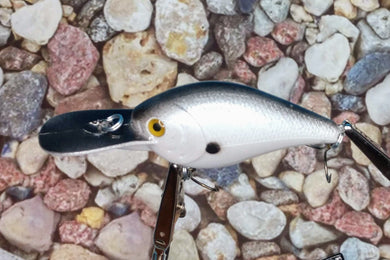 Custom Painted Fishing Lures