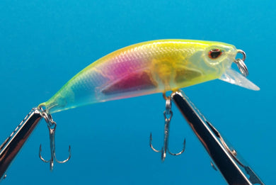 Clown Fishing Lure.